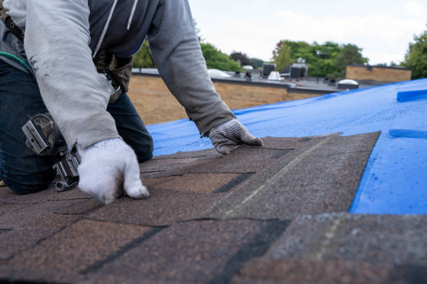 Best Best Roofing Contractors  in Inkster, MI