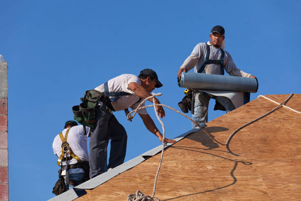 Best Roof Leak Repair  in Inkster, MI